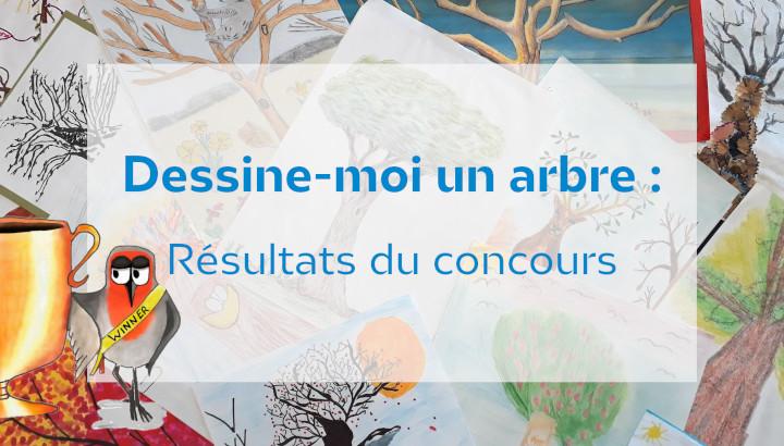 Dessine-moi un arbre : les résultats du concours